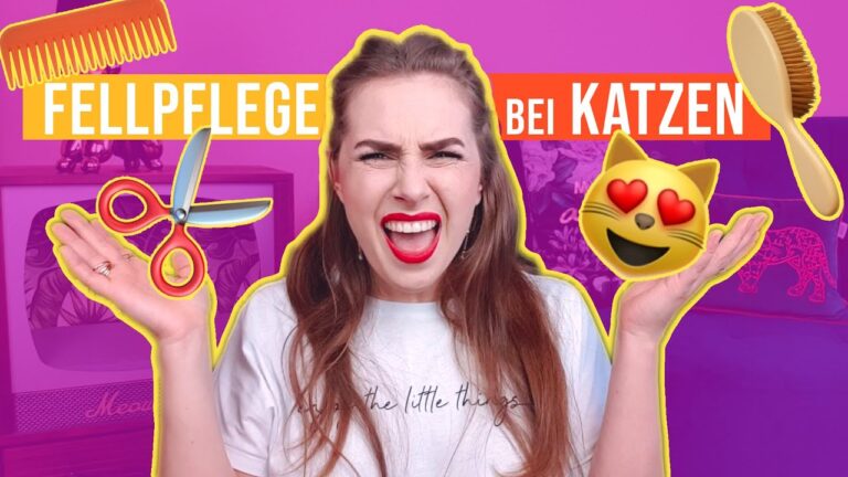 Der ultimative Vergleich von Katzenb&uuml;rsten f&uuml;r langhaarige Katzen