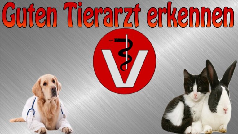 Tier&auml;rzte in der N&auml;he: Empfehlungen und Tipps