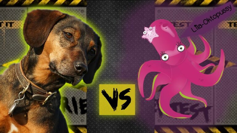 Optimales Preis-Leistungs-Verh&auml;ltnis bei Hundezubeh&ouml;r