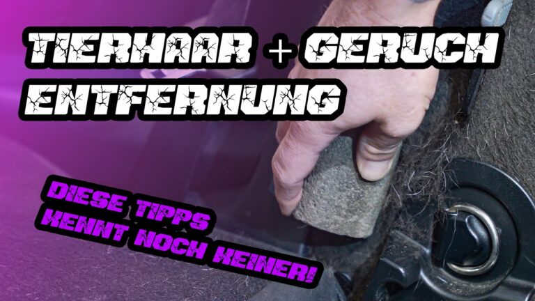 Fell Magnet Handschuh 2-tlg + Bürsten - Elektrostatischer Tierhaarentferner Für Hunde & Katzen