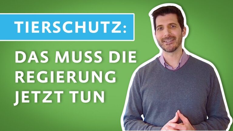Tierschutzorganisationen in Deutschland: Engagement und Herausforderungen
