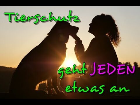 Tierschutz und Verantwortung: Ein Aufruf zum Handeln