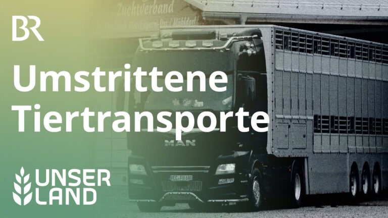 Optimierung der Tiertransportvorschriften f&uuml;r mehr Tierschutz