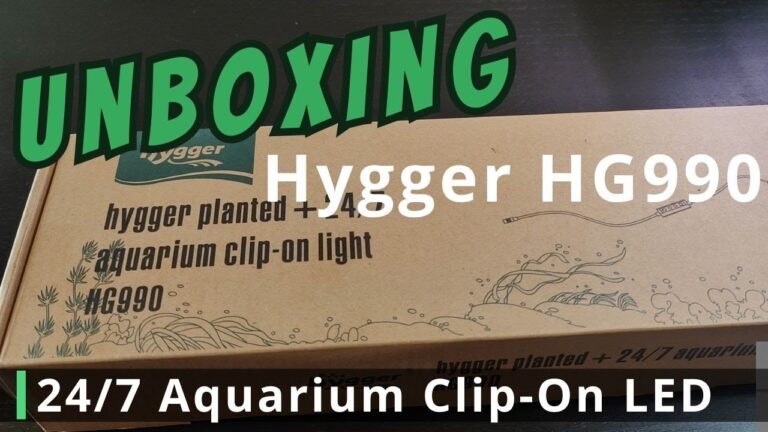 Rabatte auf Aquarienbeleuchtung: Sparen und Strahlen