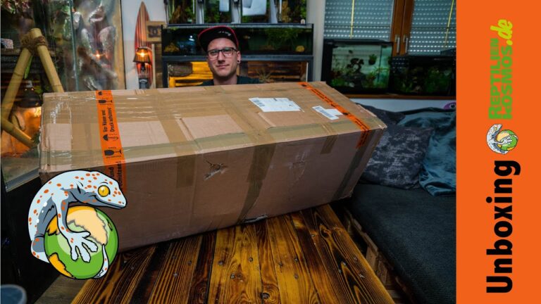 Terrarien Zubeh&ouml;r kaufen: Tipps und Empfehlungen