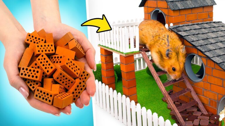 Ma&szlig;geschneiderte Outfits f&uuml;r Haustiere: Stilvoll und Einzigartig