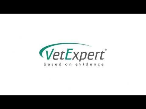 Optimale Hygieneprodukte für Haustiere: Ein Leitfaden