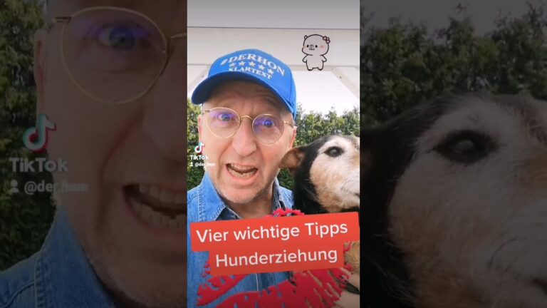 Treueprogramme f&uuml;r Hundespazierg&auml;nge: Belohnungen f&uuml;r Tierliebhaber