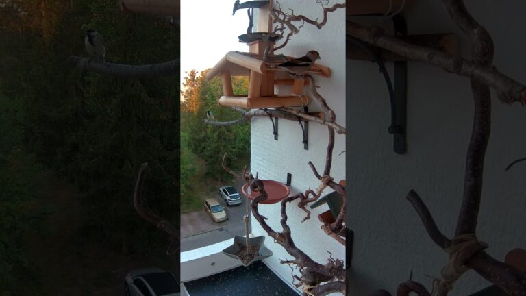 Optimierter Vergleich von Nistmaterialien f&uuml;r Zuchtv&ouml;gel