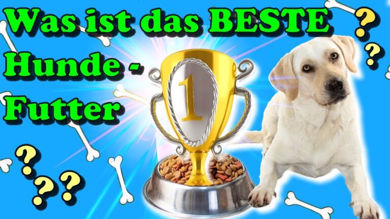 Hochwertiges Hundefutter bequem online bestellen