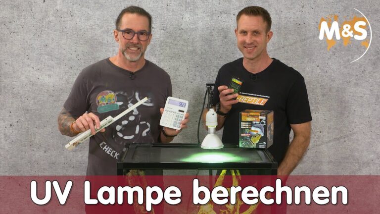 Empfohlene Heizlampen f&uuml;r Terrarien: Die besten Optionen