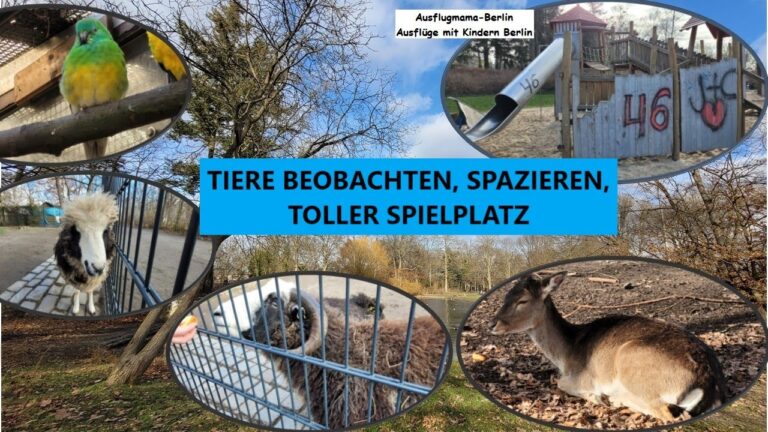 Tierfreundliche Spielplatzgestaltung: Kreative Ideen f&uuml;r Haustiere