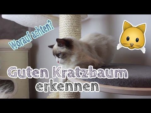 Kratzbaum mit Garantie bequem online bestellen