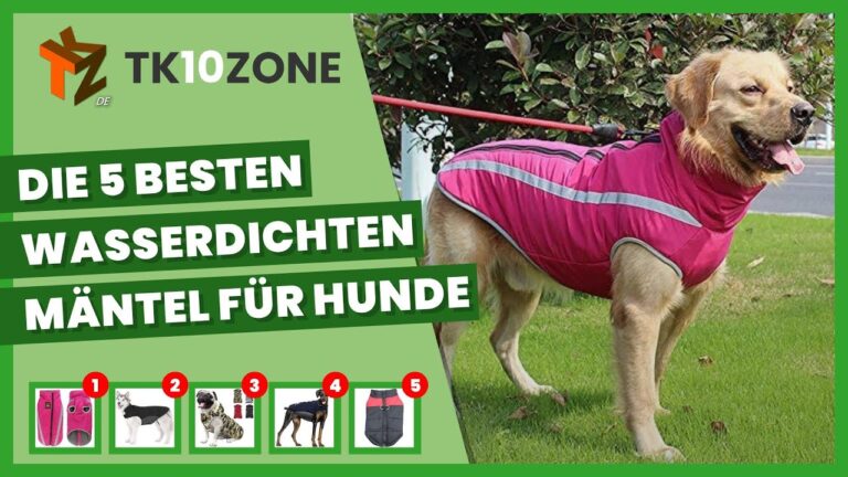 Bewertungen von Hundem&auml;nteln: Die besten Modelle im Test