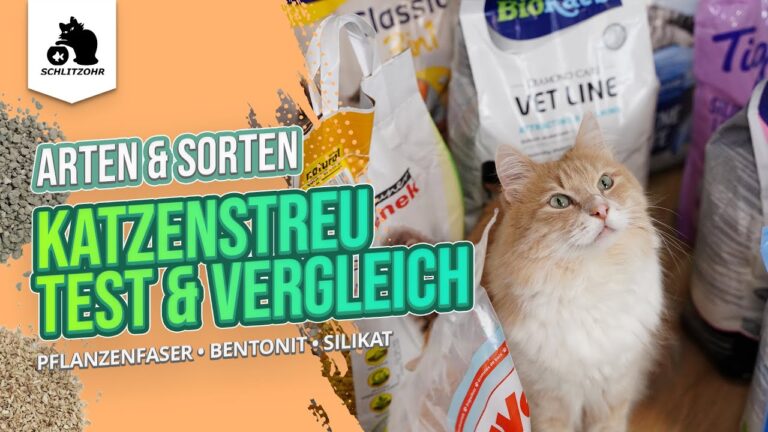 Kundenbewertungen: Die besten Katzendecken im Vergleich