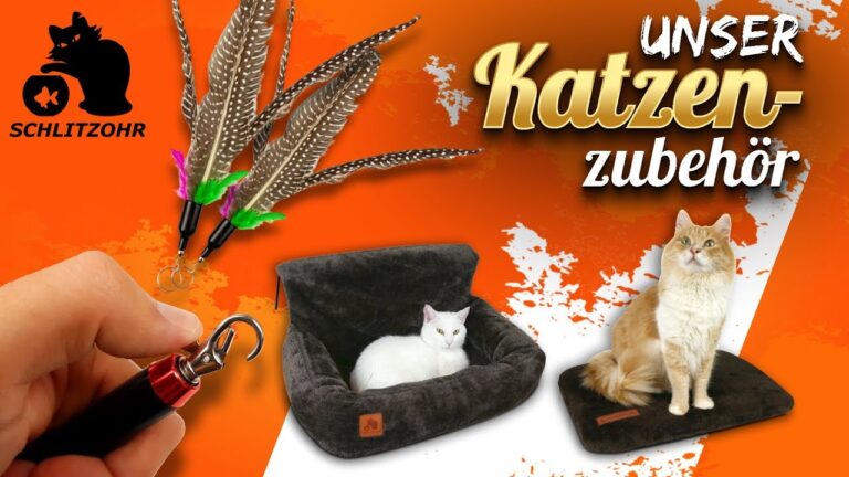 Neuheiten im Katzenspielzeug-Sortiment: Trends und Innovationen