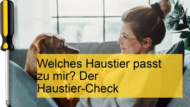 Geeignete Haustiere f&uuml;r Familien: Die besten Auswahlkriterien