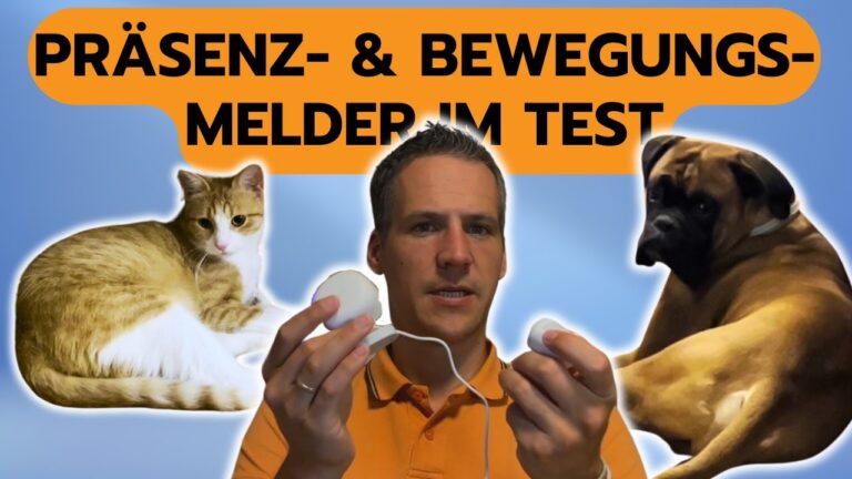 Integration von Haustieren ins Zuhause: Tipps f&uuml;r ein harmonisches Zusammenleben