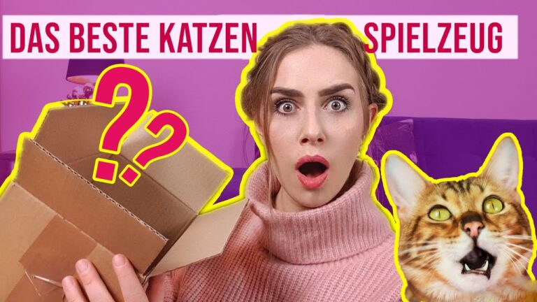 Intelligentes Spielzeug f&uuml;r Katzen: Spa&szlig; und F&ouml;rderung der Intelligenz